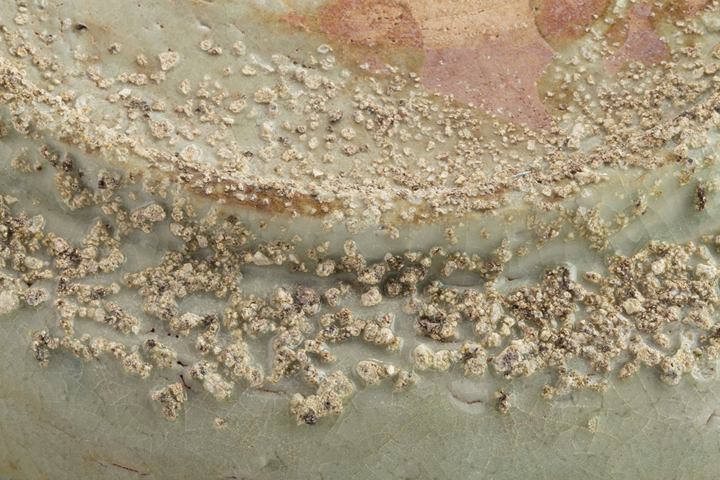 古玩陶瓷明晚·青花鳳凰牡丹紋盤真品鑒賞圖