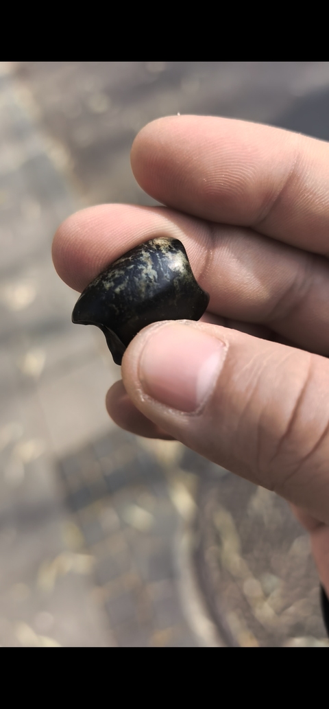 古玩雜項(xiàng)大磨損板珠真品鑒賞圖