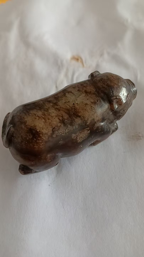 古玩玉器提油仿古“玉豬”真品鑒賞圖