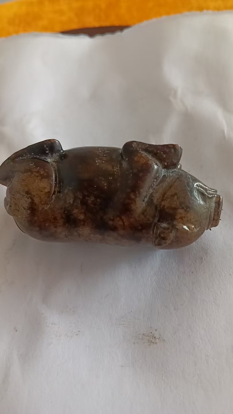 古玩玉器提油仿古“玉豬”真品鑒賞圖