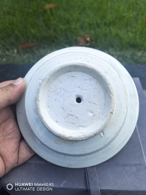 古玩陶瓷湖田窯青白釉杯和托真品鑒賞圖