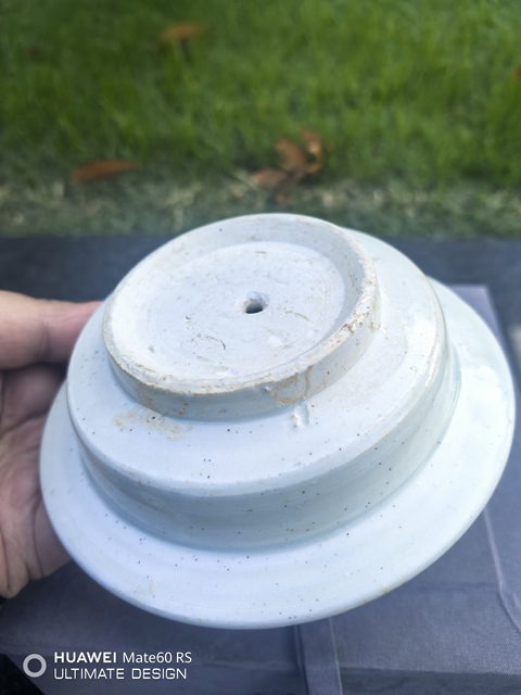 古玩陶瓷湖田窯青白釉杯和托真品鑒賞圖