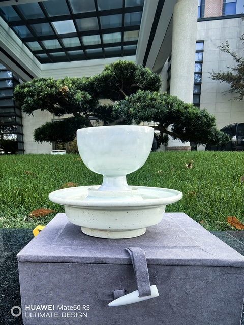 古玩陶瓷湖田窯青白釉杯和托真品鑒賞圖