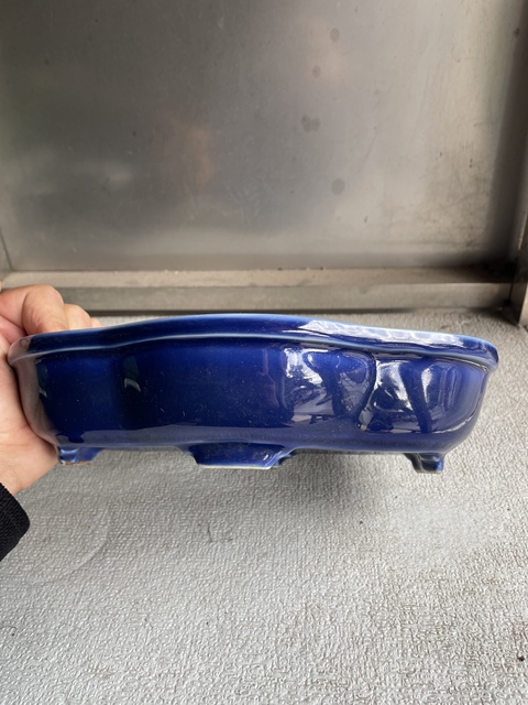 古玩陶瓷藍釉海棠型四足水仙盆真品鑒賞圖