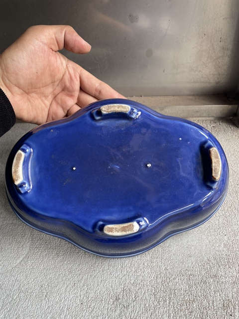 古玩陶瓷藍釉海棠型四足水仙盆真品鑒賞圖