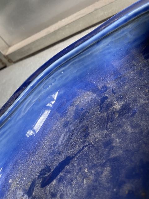 古玩陶瓷藍釉海棠型四足水仙盆真品鑒賞圖