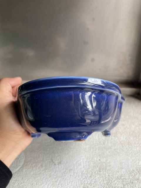 古玩陶瓷藍釉海棠型四足水仙盆真品鑒賞圖