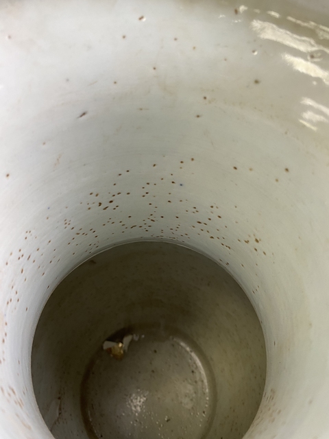 古玩陶瓷清嘉慶青花纏枝花卉紋雙耳盤口尊真品鑒賞圖