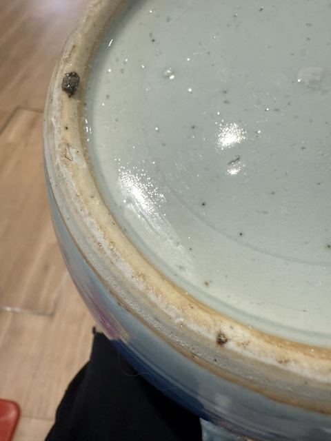 古玩陶瓷青花花卉紋粥罐真品鑒賞圖