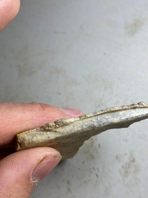 古玩玉器玉殘片真品鑒賞圖