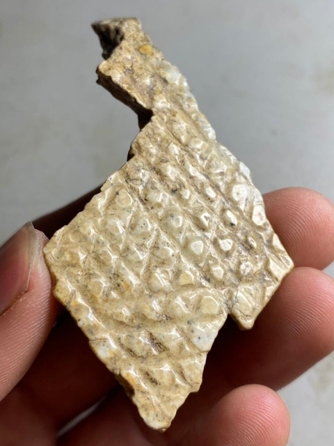 古玩玉器玉殘片真品鑒賞圖