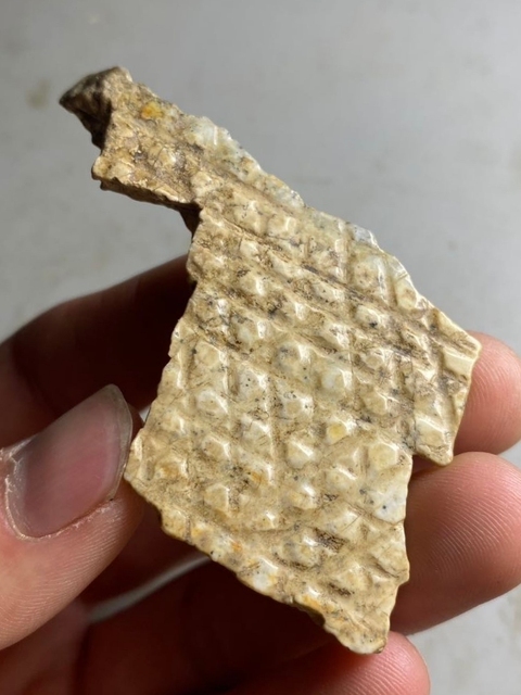 古玩玉器玉殘片真品鑒賞圖