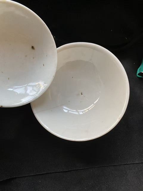 古玩陶瓷花卉紋粉彩蓋碗真品鑒賞圖