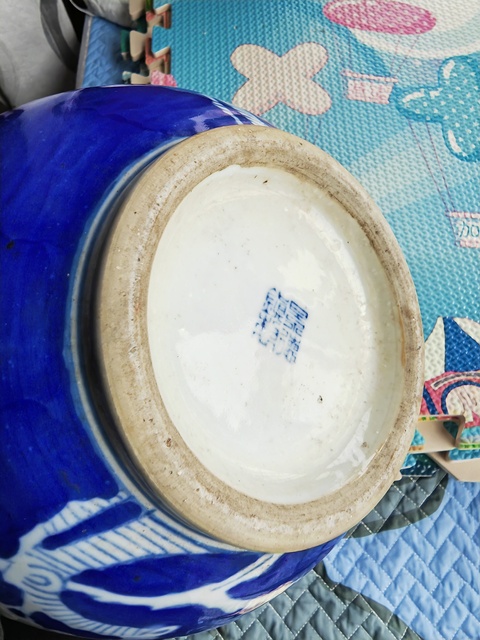 古玩陶瓷青花留白冰梅紋天球瓶真品鑒賞圖