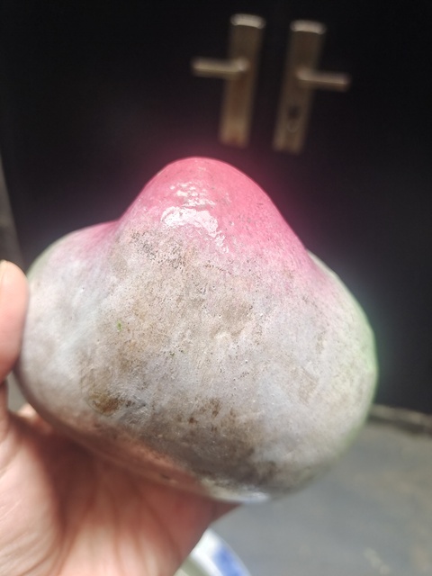 古玩陶瓷粉彩壽桃擺件真品鑒賞圖