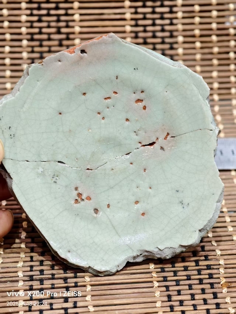 古玩陶瓷龍泉官標本真品鑒賞圖