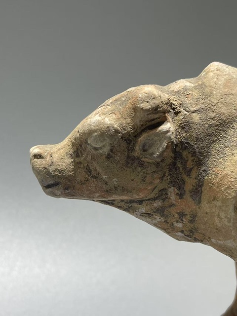 古玩陶瓷唐·老黃牛拍賣，當前價格169元