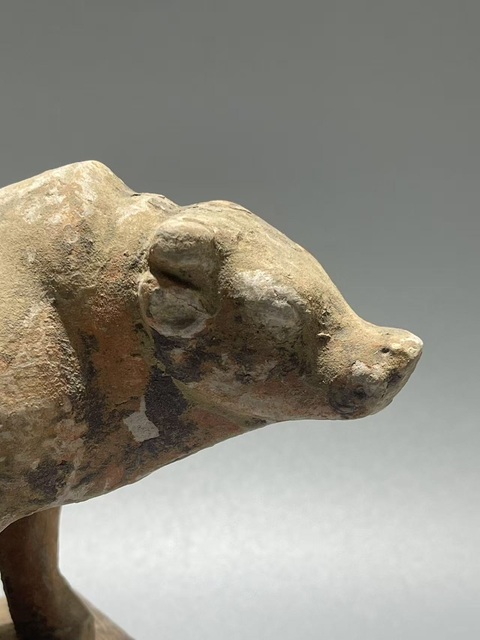 古玩陶瓷唐·老黃牛拍賣，當前價格169元