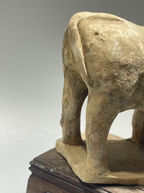 古玩陶瓷唐·老黃牛拍賣，當前價格169元