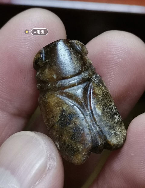 古玩玉器和田玉黃沁籽料蟬真品鑒賞圖