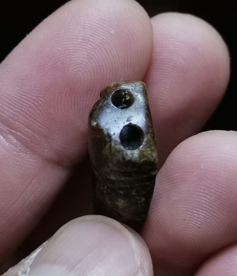 古玩玉器和田玉黃沁籽料蟬真品鑒賞圖