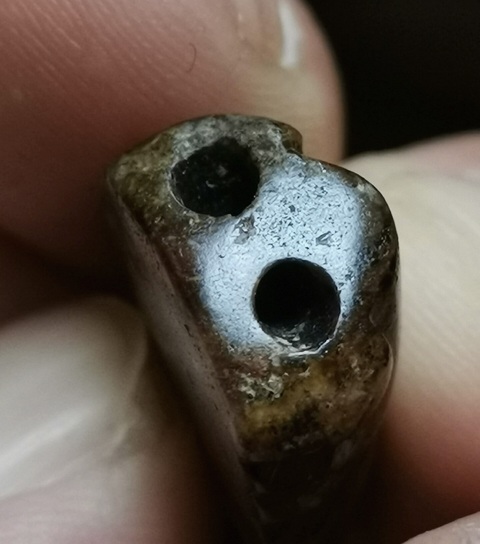 古玩玉器和田玉黃沁籽料蟬真品鑒賞圖