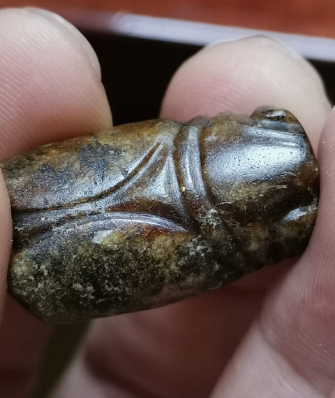 古玩玉器和田玉黃沁籽料蟬真品鑒賞圖