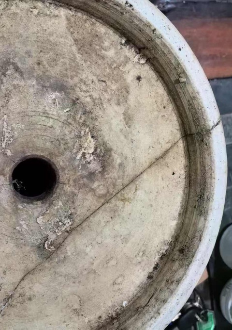 古玩陶瓷祭蘭釉花盆真品鑒賞圖