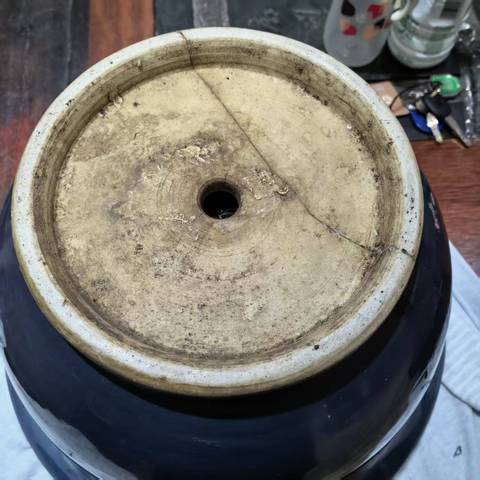 古玩陶瓷祭蘭釉花盆真品鑒賞圖