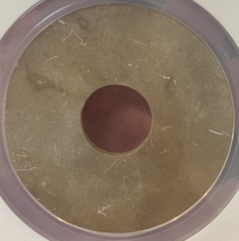 古玩玉器地方玉雕“龍紋璧”真品鑒賞圖