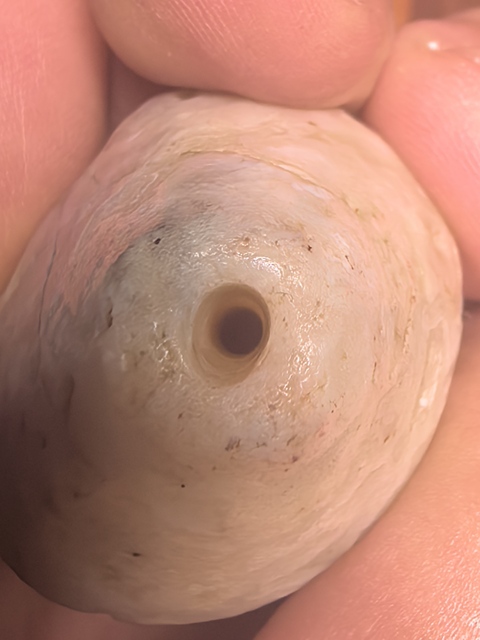 古玩玉器老瑪瑙珠真品鑒賞圖