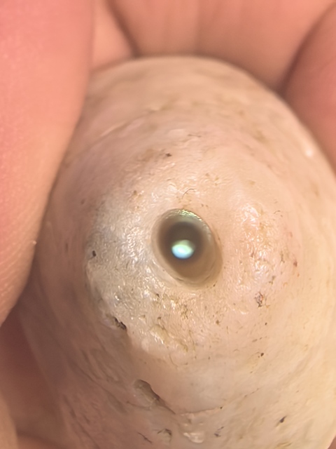 古玩玉器老瑪瑙珠真品鑒賞圖