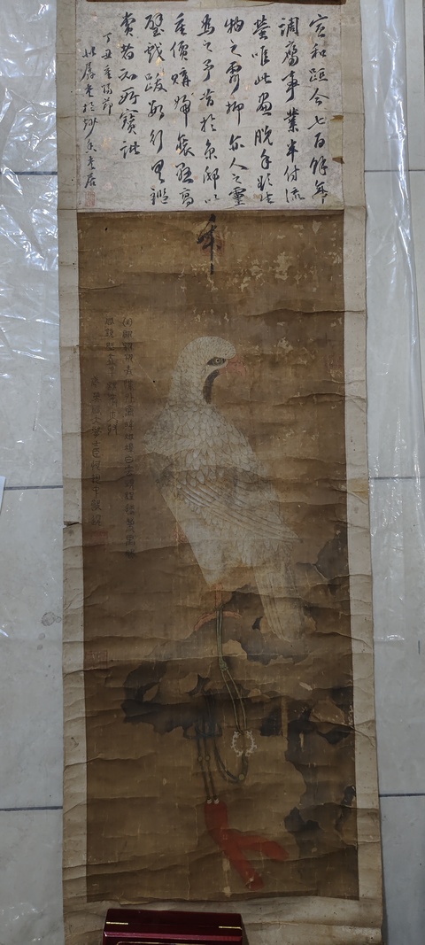 古玩字畫白鷹真品鑒賞圖