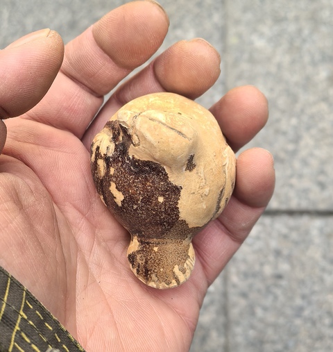 古玩陶瓷長沙窯褐釉憤怒的小鳥真品鑒賞圖