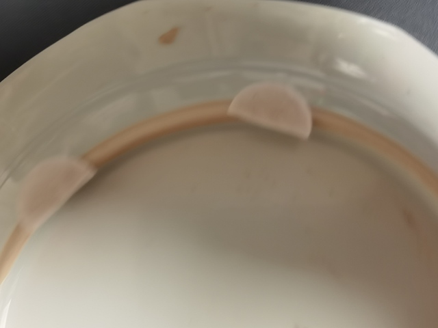 古玩陶瓷清中期青花花卉盤(pán)真品鑒賞圖