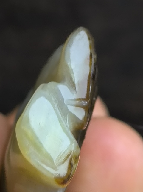 古玩玉器和田玉雕“如意童子”真品鑒賞圖