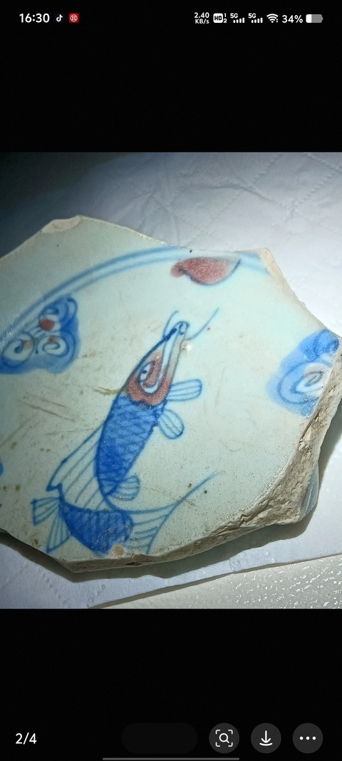 古玩陶瓷青花釉里紅魚紋標(biāo)本真品鑒賞圖