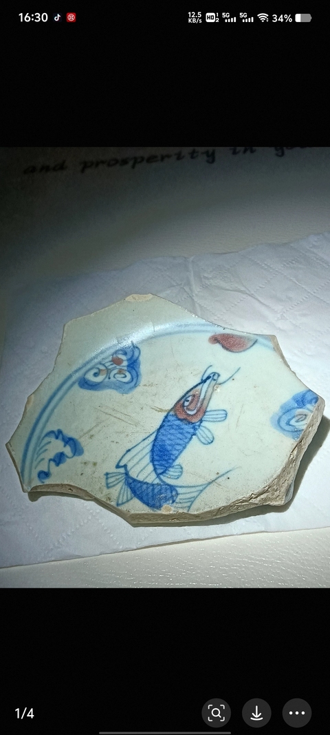 古玩陶瓷青花釉里紅魚紋標(biāo)本真品鑒賞圖