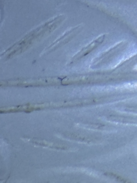 古玩玉器和田玉雕“喜事連連”擺件真品鑒賞圖