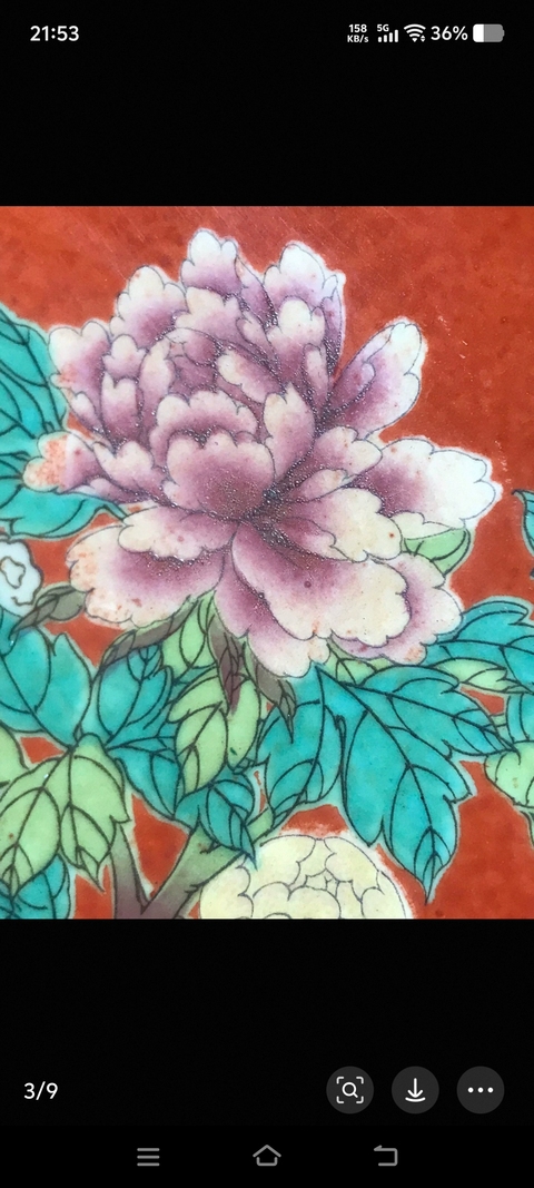 古玩陶瓷珊瑚紅粉彩花鳥紋盤真品鑒賞圖