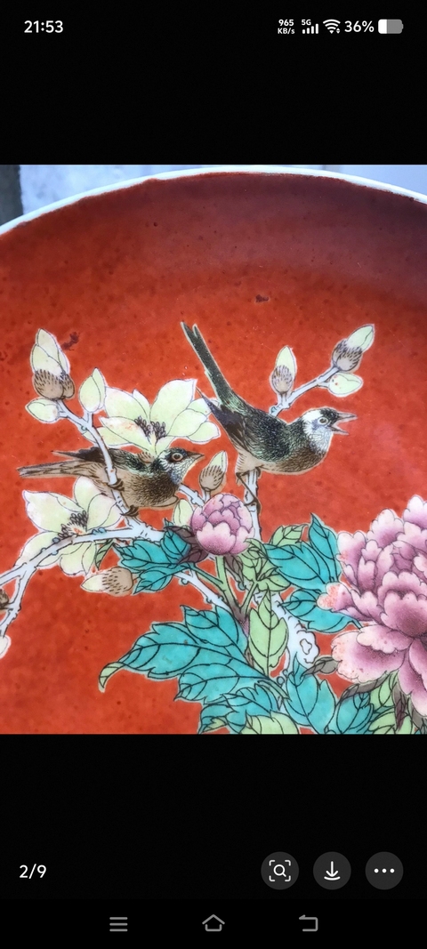 古玩陶瓷珊瑚紅粉彩花鳥紋盤真品鑒賞圖
