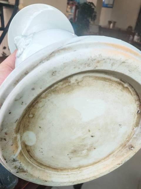 古玩陶瓷晚清民國 白釉花觚真品鑒賞圖