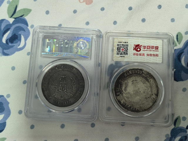 古玩錢幣孫中山像壹圓真品鑒賞圖