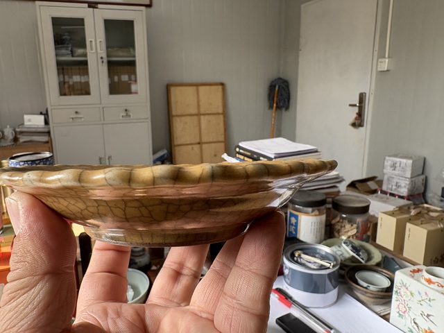 古玩陶瓷黃哥釉葵口盤真品鑒賞圖