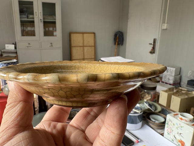 古玩陶瓷黃哥釉葵口盤真品鑒賞圖