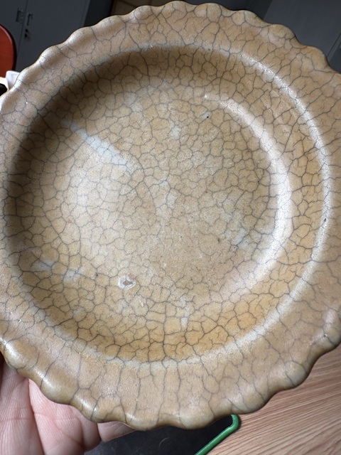 古玩陶瓷黃哥釉葵口盤真品鑒賞圖
