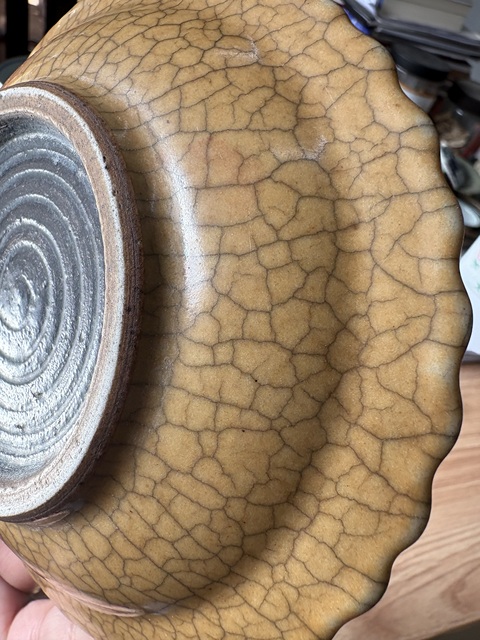 古玩陶瓷黃哥釉葵口盤真品鑒賞圖