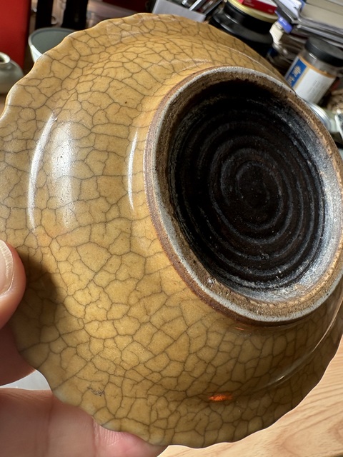 古玩陶瓷黃哥釉葵口盤真品鑒賞圖