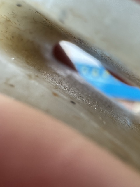 古玩玉器和田玉雕“提攜”真品鑒賞圖