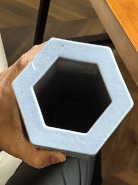 古玩陶瓷橄欖瓶真品鑒賞圖